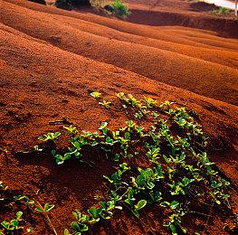 实体党悲哀 《超级马里奥银河1+2》NS2版需更新方可运行